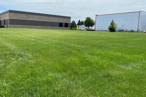 Large open green field behind Milestone Democratic school building.